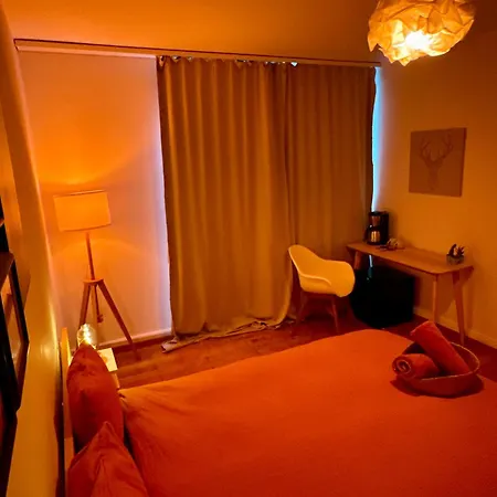 Schones Mit Balkon Neben Letzigrund. زيورخ